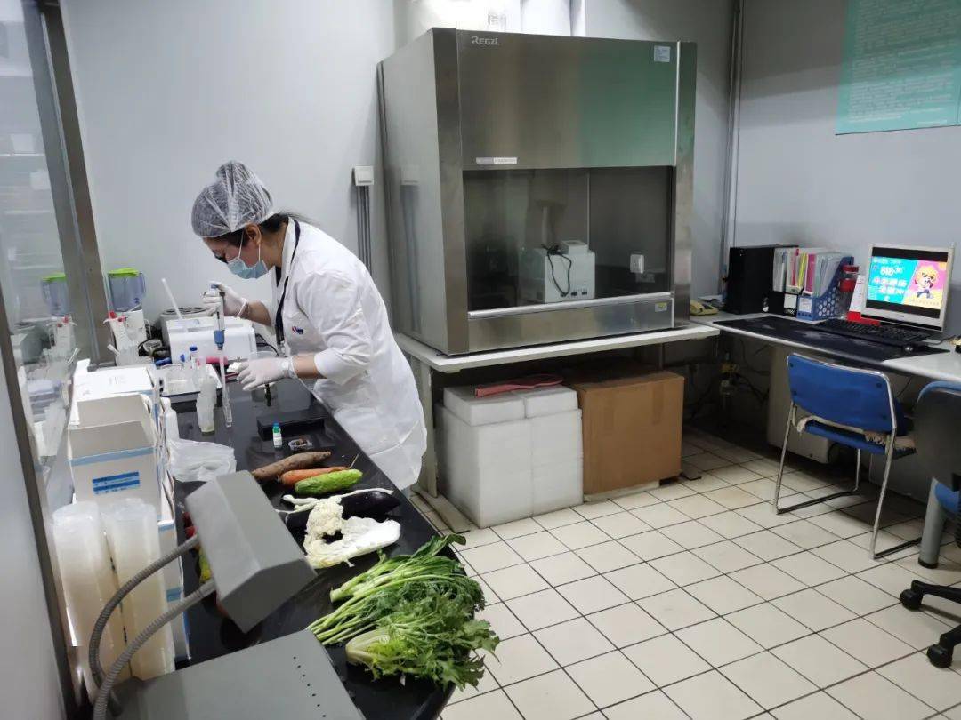东兰食品检测实验室装修方案